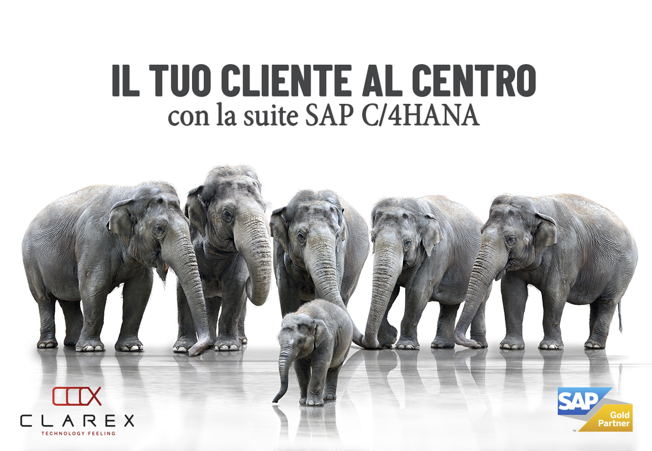 elephants1280 Immagine di Elefanti che proteggono un elefantino con la scritta" il tuo cliente al centro con la suite C/4HANA"
