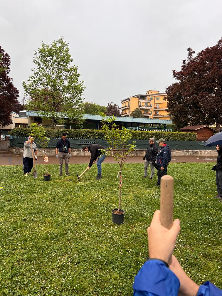 clean up consapevole – regesta clean up consapevole - regesta