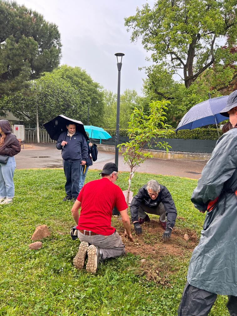 clean up consapevole – regesta clean up consapevole - regesta