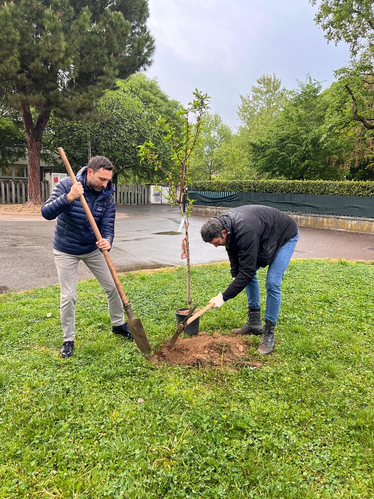 clean up consapevole – regesta clean up consapevole - regesta