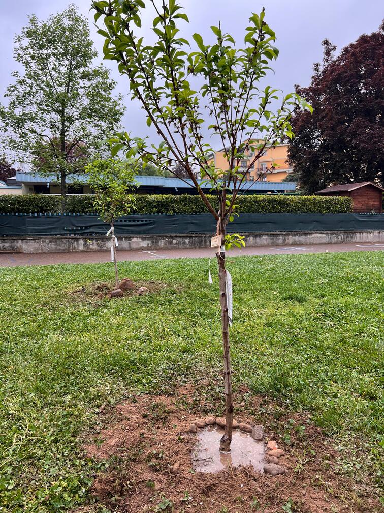 clean up consapevole – regesta clean up consapevole - regesta