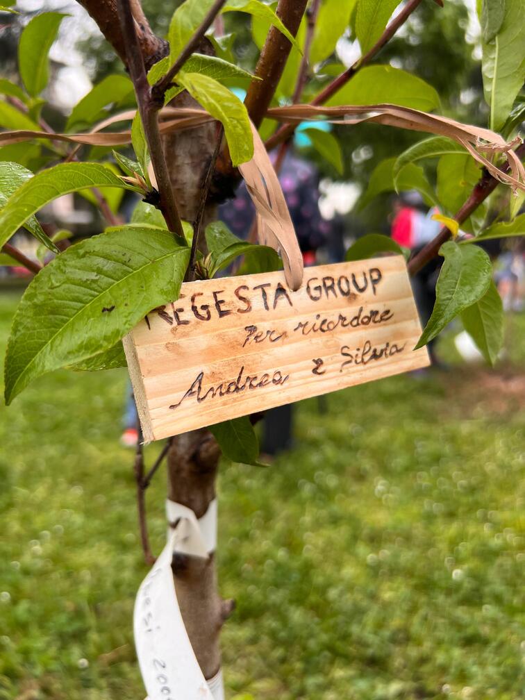 clean up consapevole – regesta clean up consapevole - regesta